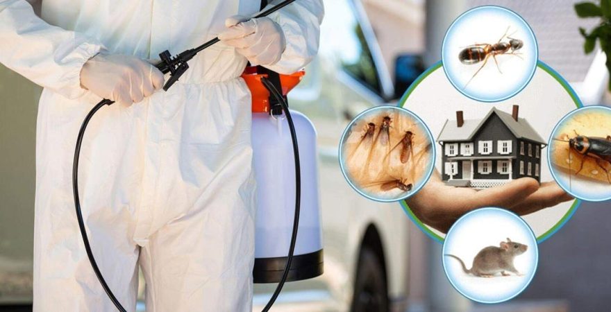 Hüyük Böcek İlaçlama