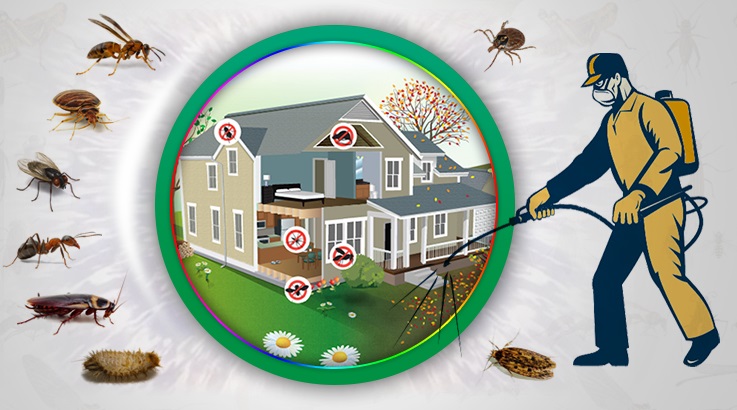 Hüyük Böcek İlaçlama