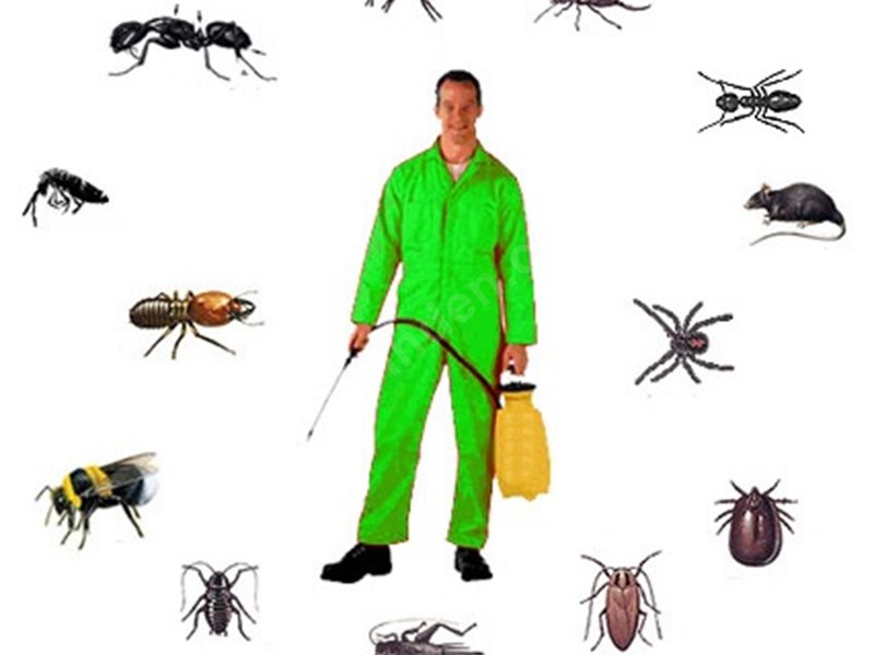 Hüyük Böcek İlaçlama